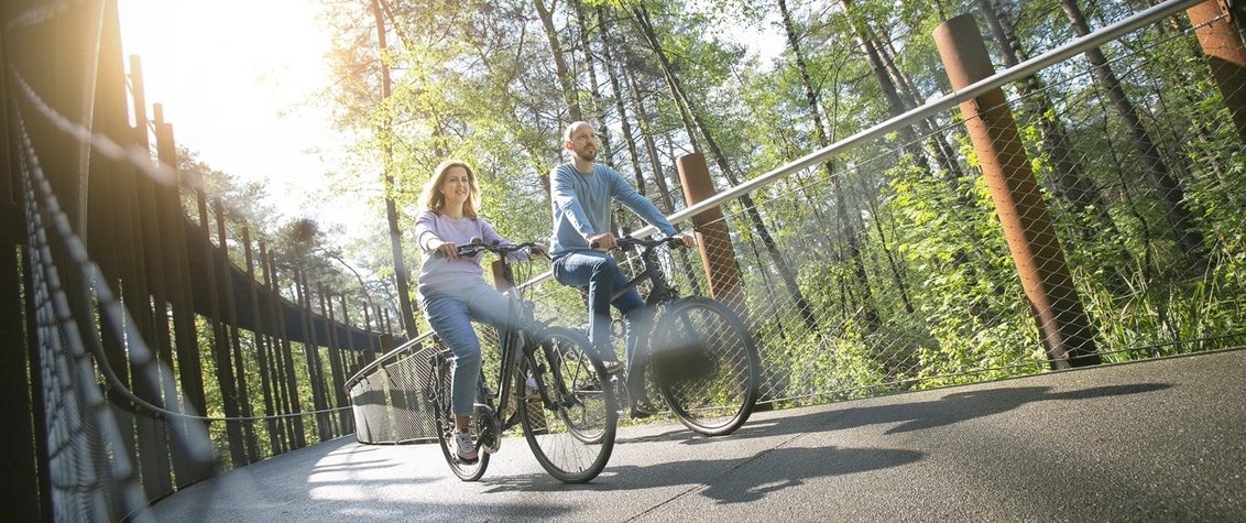 Fietsen tussen de bomen